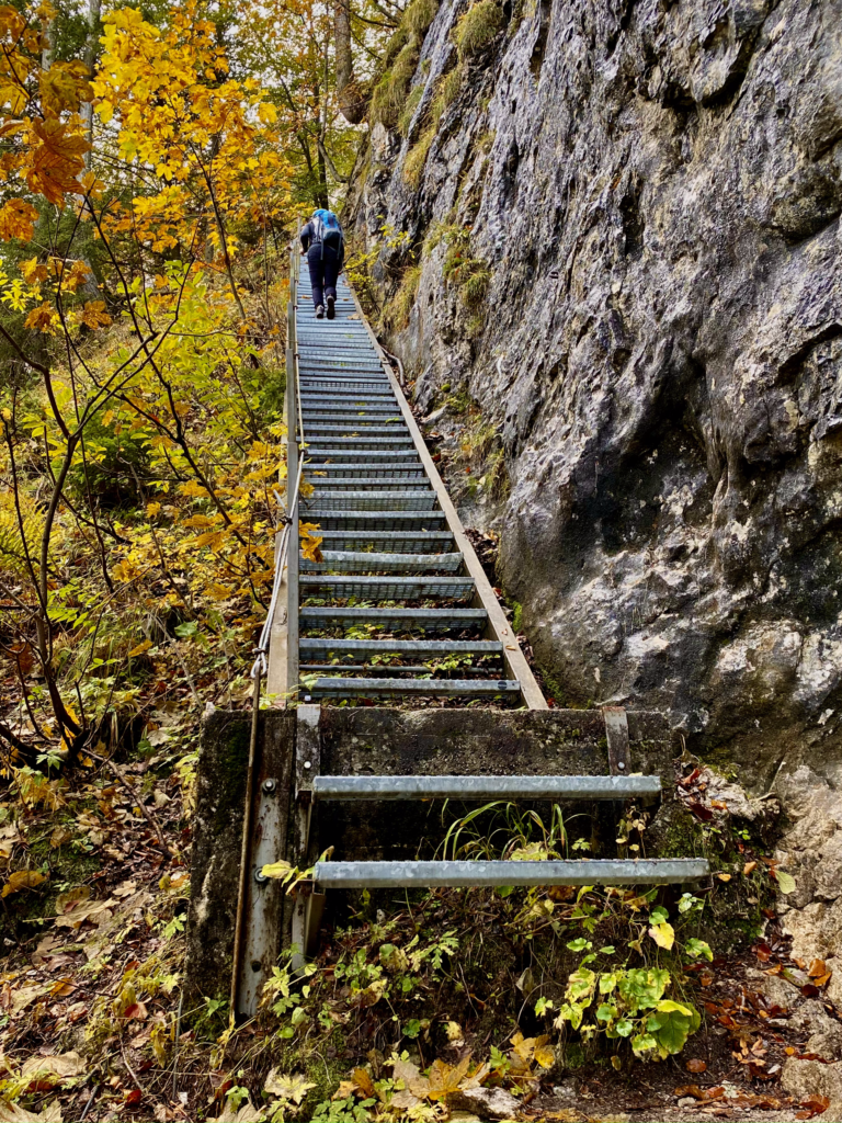 Žebřík k Rinnerhütte