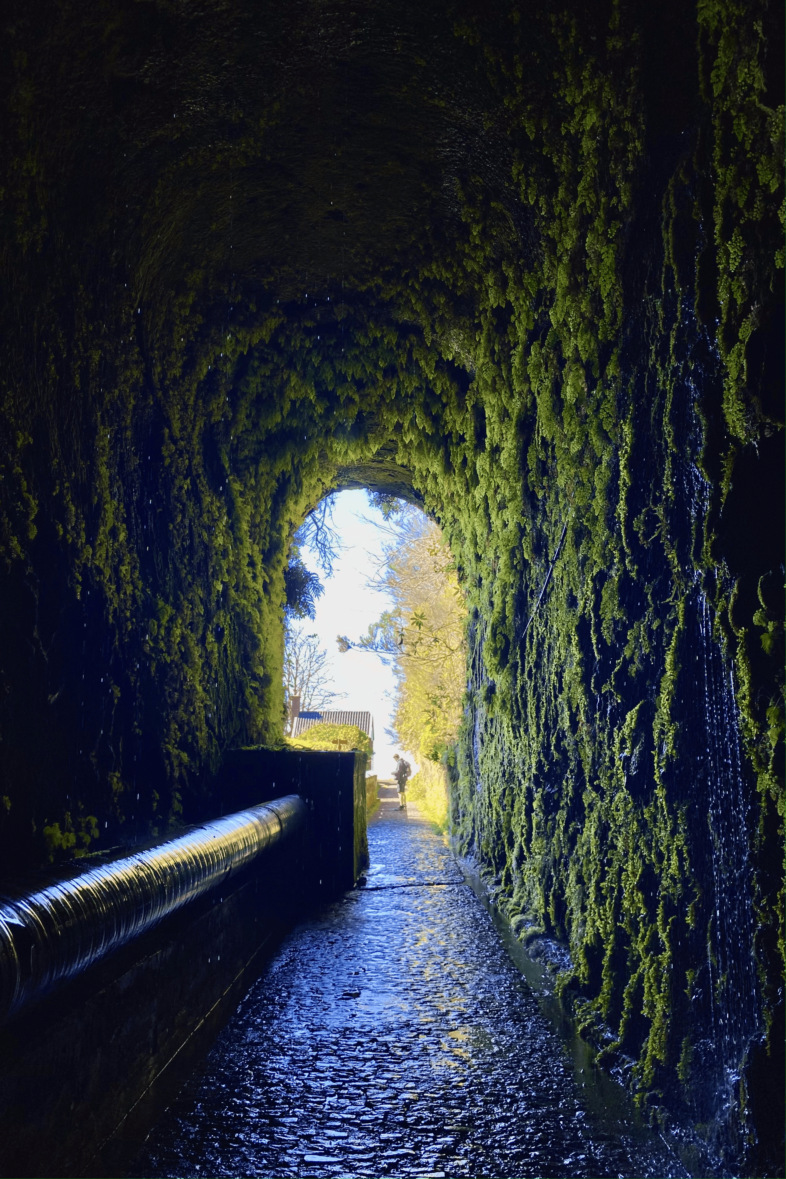 Vstup do Tunelu do Rabaçal